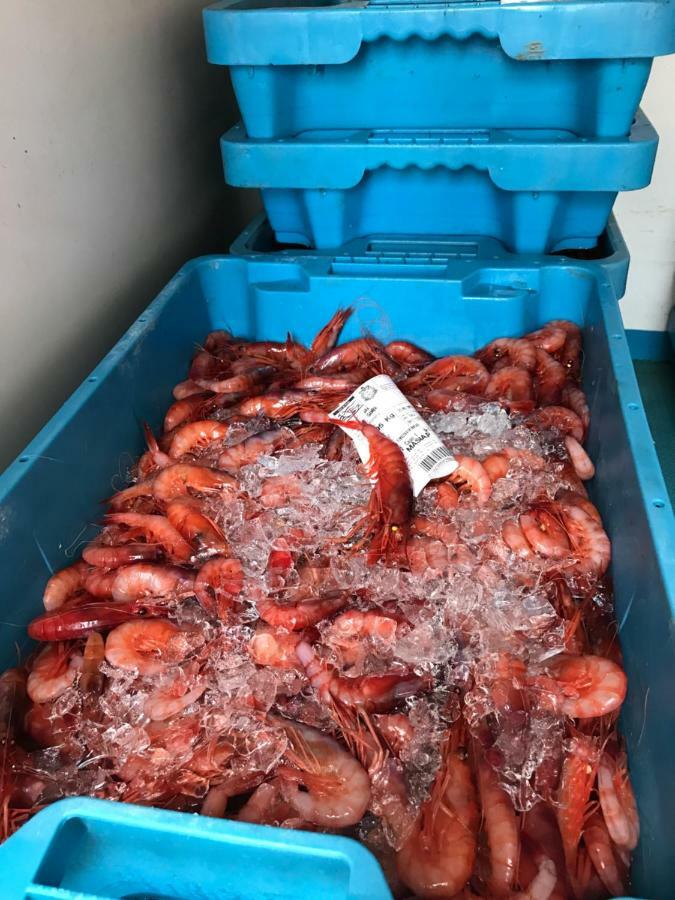 卡拉费尔Casita De Pescador公寓 外观 照片